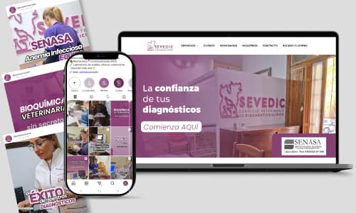 Web y redes de Sevedic